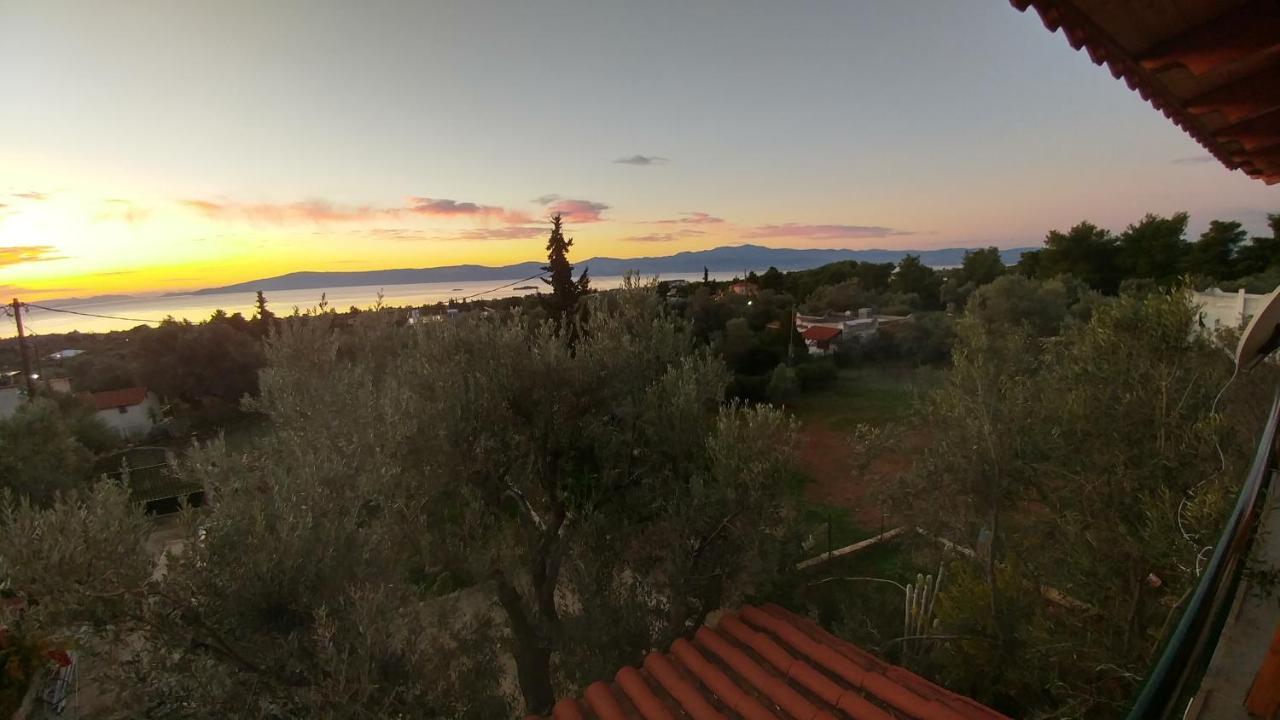Panorama Erétria Exterior foto